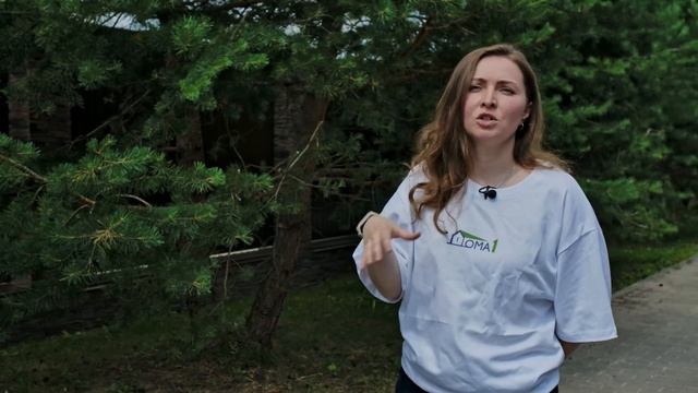 Выбираем поселок для строительства дома | Поселки открытого и закрытого типа: что лучше? смотреть онлайн