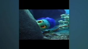 CRAZIEST Sagawa1gou Funny TikTok Compilation | Try Not To Laugh Watching Cactus Dance Challenge 202