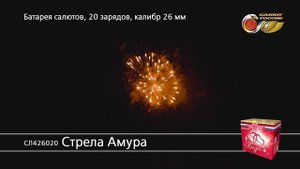 СЛ426020 Стрела Амура