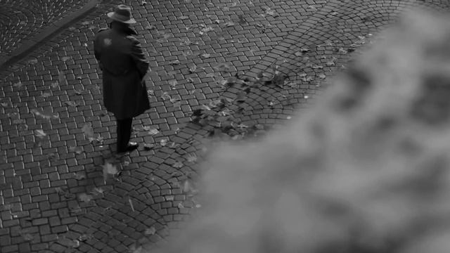 Леонид Аркадьевич расстроен Аэрофлотом смотреть онлайн