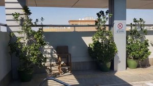 Хороший Отель в Дубае [Rose Park Hotel Al Barsha]