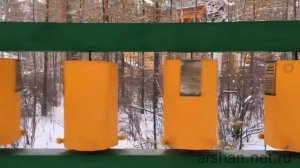 Курорт Аршан зимой отдых arshan.net.ru байкал