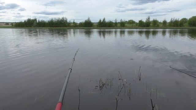 КОШКУ НАКОРМИЛИ, КАРАСЕЙ НАЛОВИЛИ! Рыбалка НА УДОЧКУ! смотреть онлайн