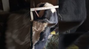 Самодельная сенодробилка своими руками.Часть 2