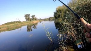 ЛОВЛЯ ЩУКИ НА СПИННИНГ СВИМБЭЙТ И ДЖЕРК РУЛЯТ