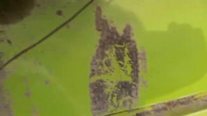 ПРЕСС-ПОДБОРШИК  WOLAGRI columbia r12 экспресс-обзор от Сергея Белова
