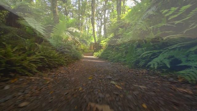 Красивая, вдохновляющая, позитивная музыка. Мотивация на успех. Wonderful inspiring celtic music.
