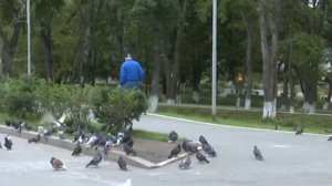 Обязанности совершеннолетних детей по содержанию родителей