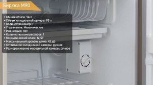 Холодильник Бирюса M90, 90