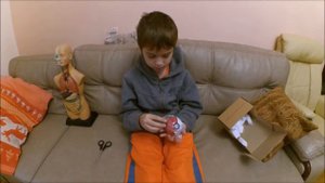 Распаковка покебола