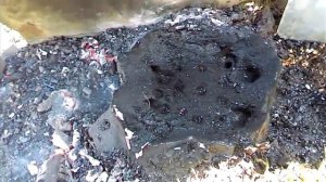 Как самому удалить пень на участке