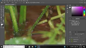 How to blur background in Photoshop [Easy tutorial]