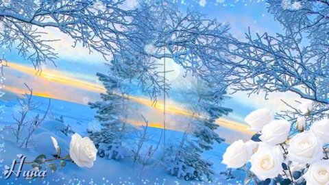 ОЧЕНЬ КРАСИВАЯ ПЕСНЯ. БЕЛОСНЕЖНЫЕ РОЗЫ. гр. СЕНТЯБРЬ #длядуши#красивыепесни#душевныйшансон