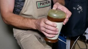 Готовим крапиву на корм головастикам!