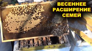 Весеннее расширение семей.