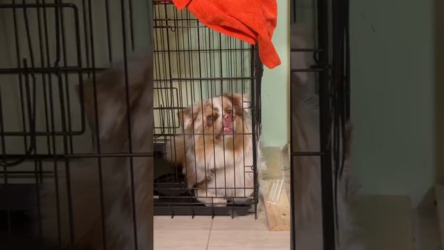 2023-12-20 20.19.22ккк