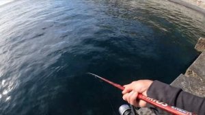 НАШЕЛ НОВОЕ Рыбное Место! Морская Рыбалка Ловля Саргана НА Черном Море