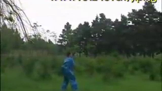 Шаолинь Ши Сань Цзе Бянь - Тринадцати звенная цепь.flv смотреть онлайн