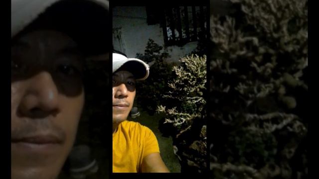 MALABAGO HIBISCUS TAIWAN смотреть онлайн