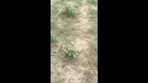 Чечня. Рыбалка на Сунже.