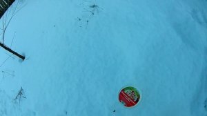 Апитерапия. Вторая жизнь застывших пчел