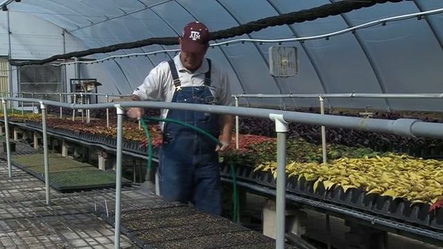 Forest Grove Nursery смотреть онлайн