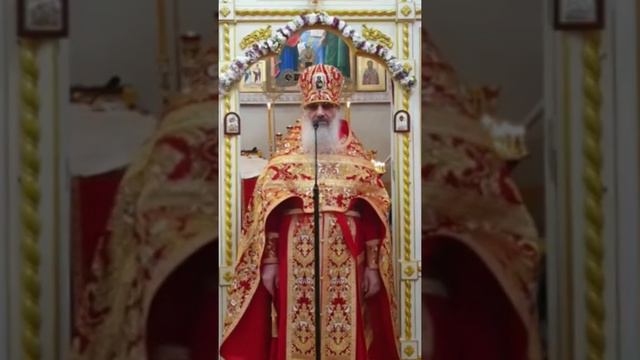 Нед.5-я по Пасхе, о самаряныне,перенес. мощей свт.Николая Чудотворца в Бари.Проповедь архим.Амвроси смотреть онлайн