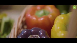 Корпоративный ролик о компании Джей Джи Си Эвергрин. ТОР Хабаровск. Площадка Ракитное. 2023