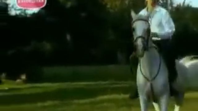 БЛОНДИН смотреть онлайн