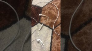 Earpods lightning хороший выбор?