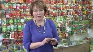 Готовим почву для рассады с ОФЭМ (отруби, ферментированные эффективными микроорганизмами)