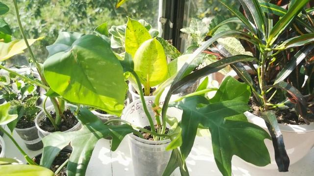 ТУР ПО НОВОМУ Балкону/Почему я пропал/Куча новинок смотреть онлайн