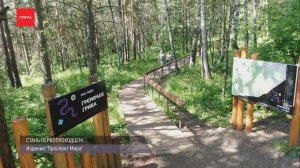 Два новых маршрута появились в экопарке «Гремячая грива»