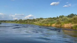 Сплав по Мологе от Пестова до Устюжны