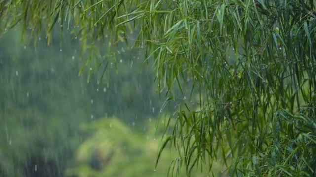 Медитация. Музыка релакс. Расслабляющая музыка от. стресса и дипрессии. смотреть онлайн