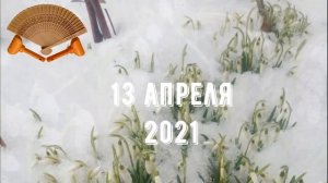 Грабли веерные  Для любителей канала Грабли Лайф 13 04 21