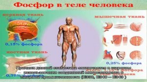 Продукты питания богатые фосфором