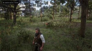 RDR 2 - Этот контент навcегда утерян! • Часть 1