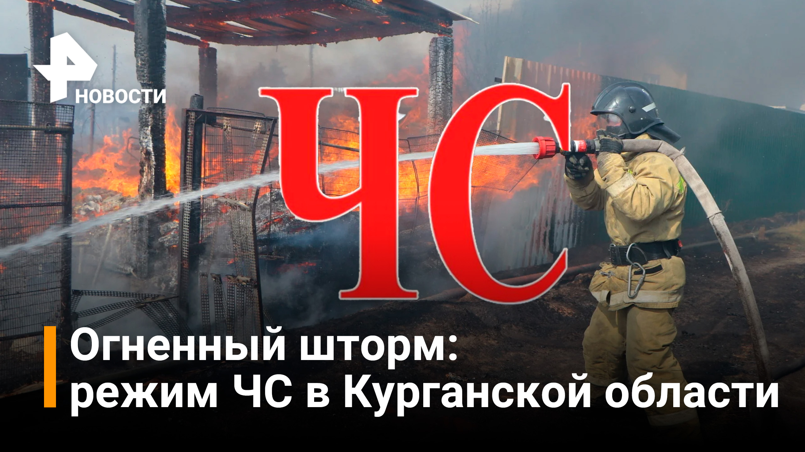 Режим ЧС ввели из-за пожаров в Курганской области / Новости РЕН