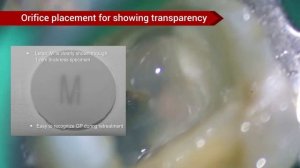 Презентация Медиклюс.mp4