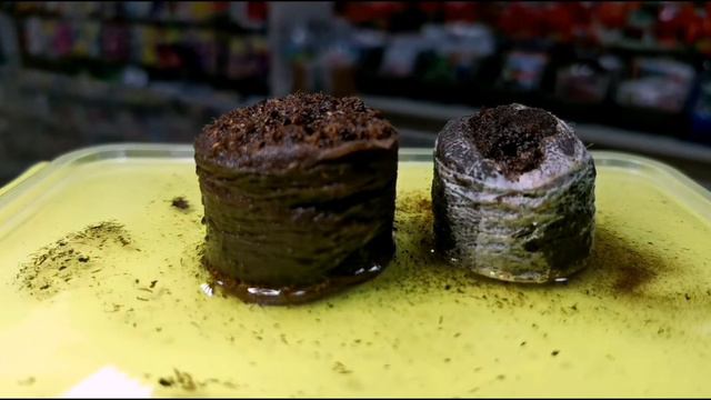 Торфяные таблетки смотреть онлайн