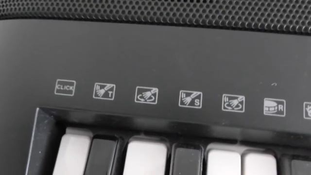 Yamaha PSR E333 Keyboard Front & Rear Panels смотреть онлайн