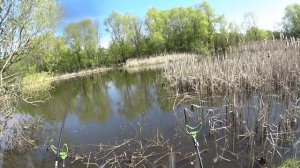 Рыбалка как раньше! Ловля карася на пруду на поплавок