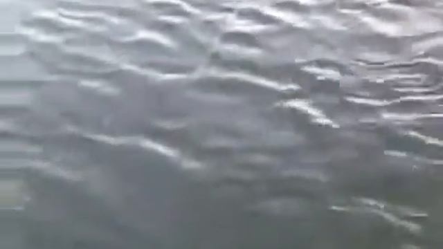 Рыбалка на щуку, ловля щуки на спининг, озеро Байкал 1 смотреть онлайн