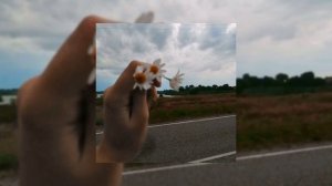 дайте танк(!) - волна/speed up