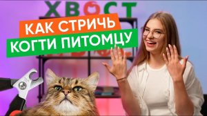 Как защитить питомца от насекомых и другие новости "Хвост Ньюс" №119