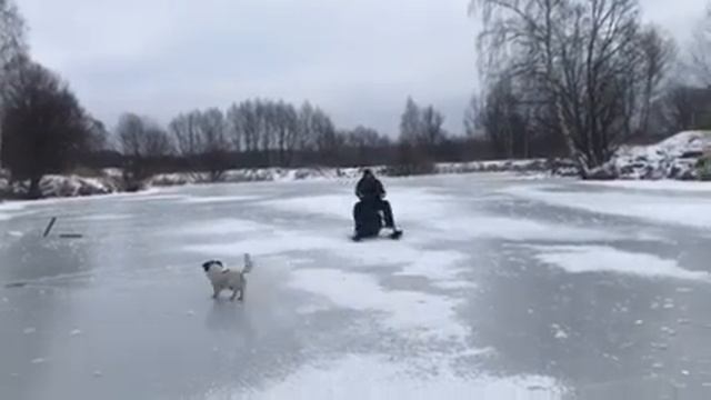 Снегоход хаски по льду смотреть онлайн