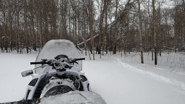 Охота, прогулка на снегоходе. смотреть онлайн