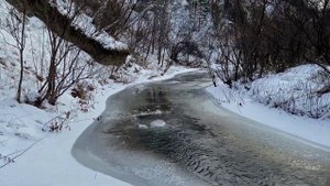 Река Издревая. Ноябрь