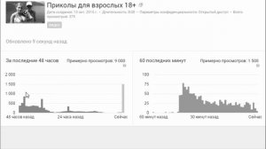 Живой пример раскрутки видео на YouTube 10000 просмотров за 48 часов